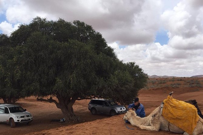 SMALL SAHARA & SILVER CITY- MASSA & TIZNIT IN 4x4 WITH LUNCH IN BERBER STYLE - Tour Description