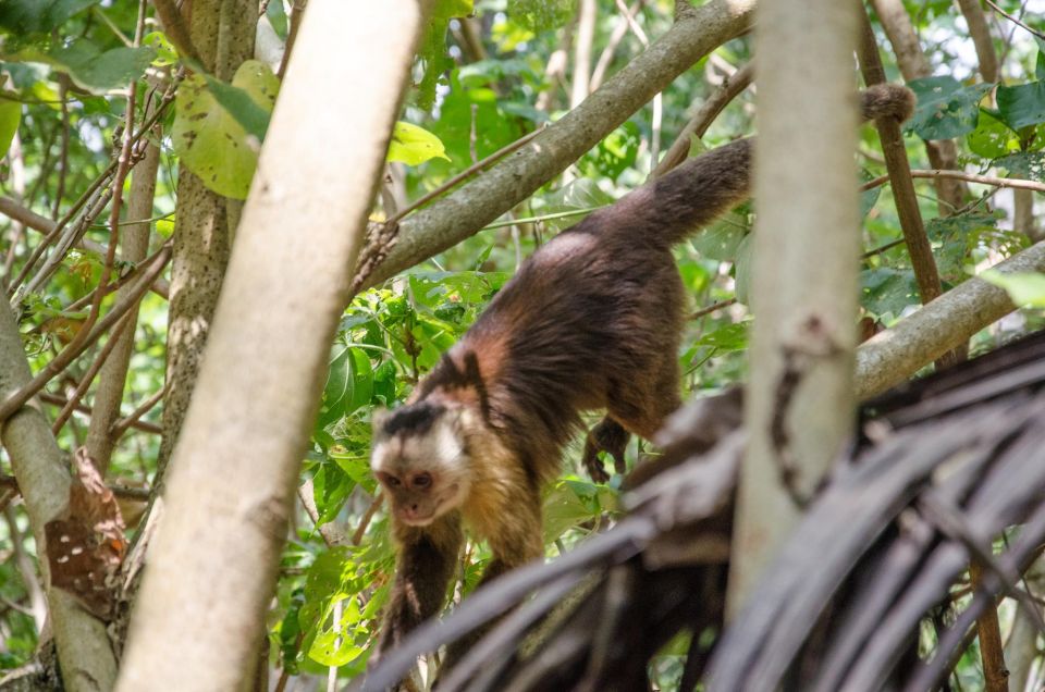 SMR TAYRONA NATIONAL PARK - Trek to Cabo San Juan - Key Points