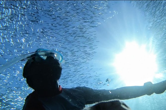 Snorkel Tour in Paraggi Bay - Key Points