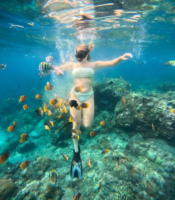 Snorkeling Nusapenida - Best Part Swim With the Mantarays - Key Points