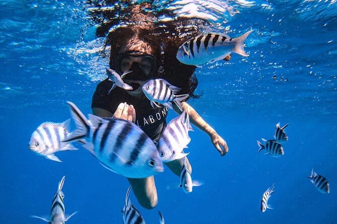 Snorkeling Tour Tahiti Private for 2 People - Key Points