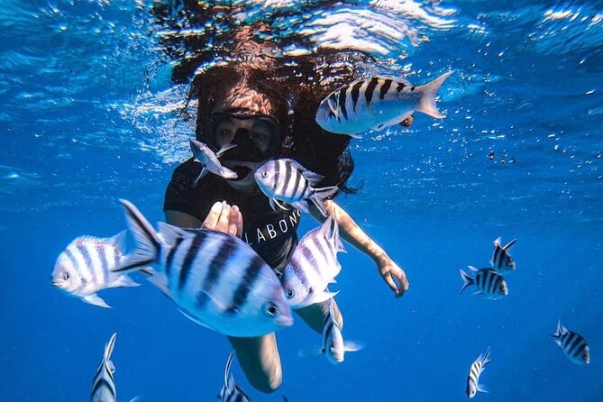 Snorkeling Tour Tahiti - Key Points