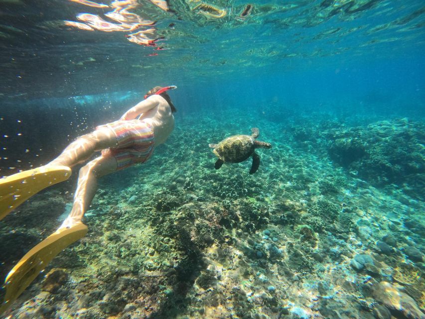 Snorkling & West Day Trip Nusa Penida Island - Key Points