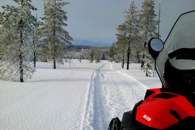 Snowmobile Adventure in Swedish Lapland (Day Tour) - Key Points