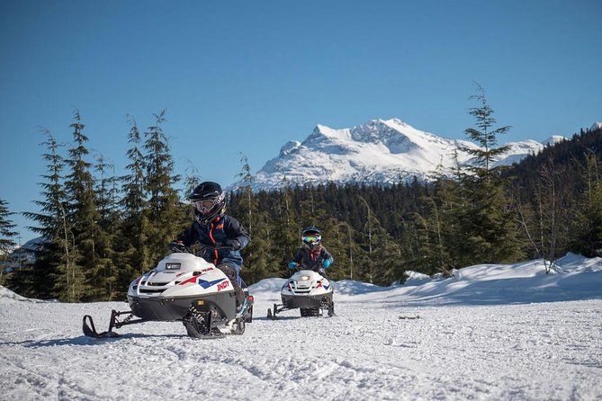 Snowmobile Family Tour in Whistler - Key Points