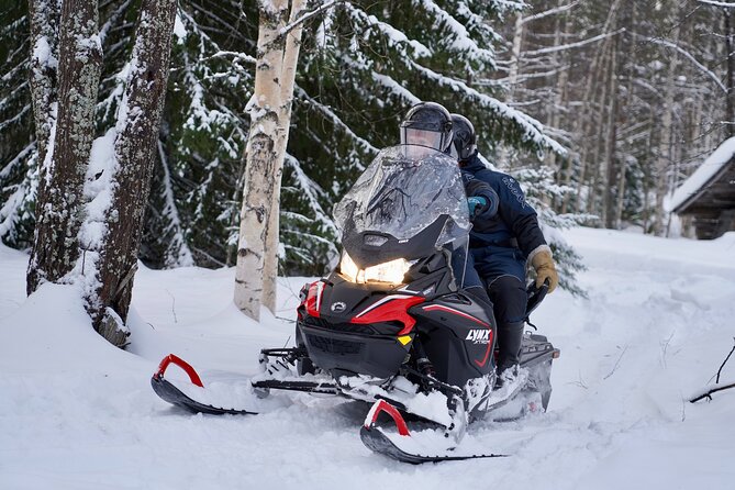 Snowmobile Safari to Arctic Nature - Snowmobile Safari Overview