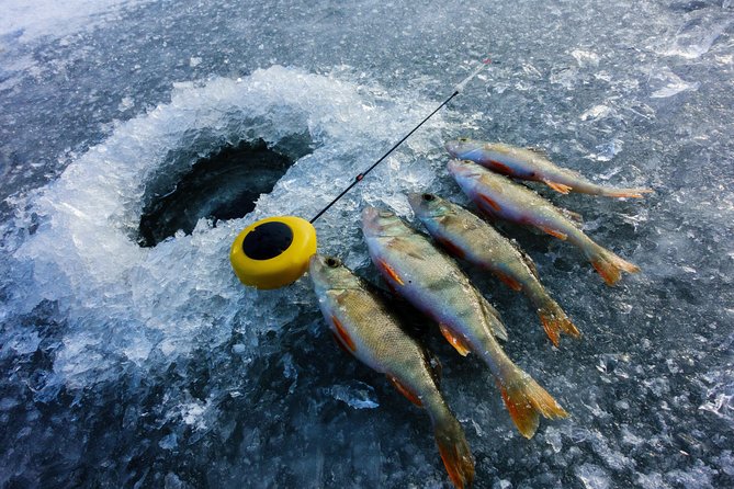 Snowmobile Safari With Ice Fishing - Key Points