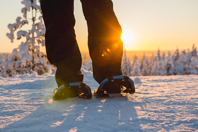 Snowshoe Fun - Activity Overview