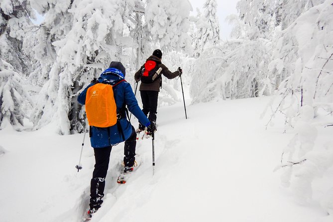 Snowshoe Hike Into Laplands White Wilderness - Key Points