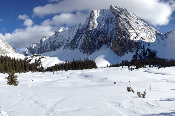 Snowshoe in Kananaskis Country - Experience the Winter Wonderland