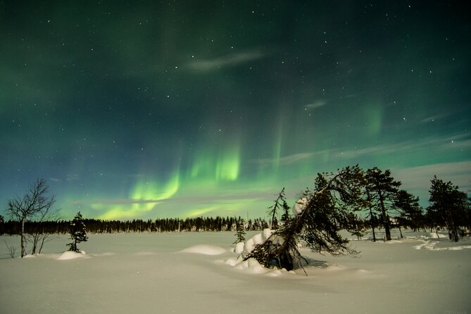 Snowshoe in the Northern Light Night - Key Points