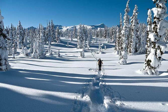 Snowshoe Through Vancouvers Winter Wonderland - Key Points