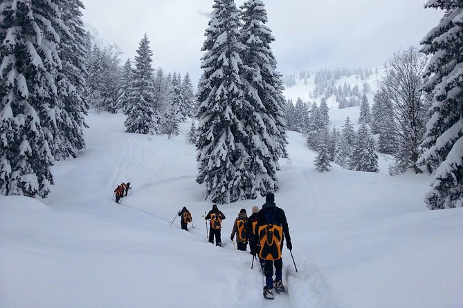 Snowshoe Tour on Schliersee With Zipflbob Ride - Key Points