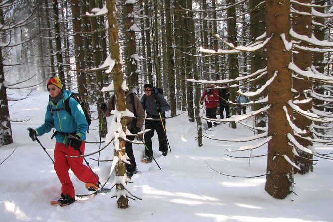 Snowshoe Tour on the Schliersee - Snowshoeing Experience