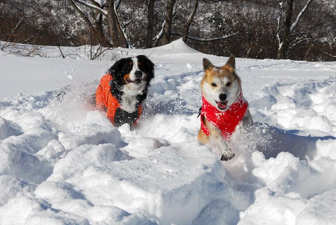 Snowshoe Tour - Key Points