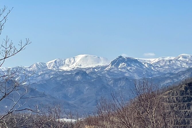Snowshoeing Adventures in a Winter Wonderland - Sapporo - Key Points