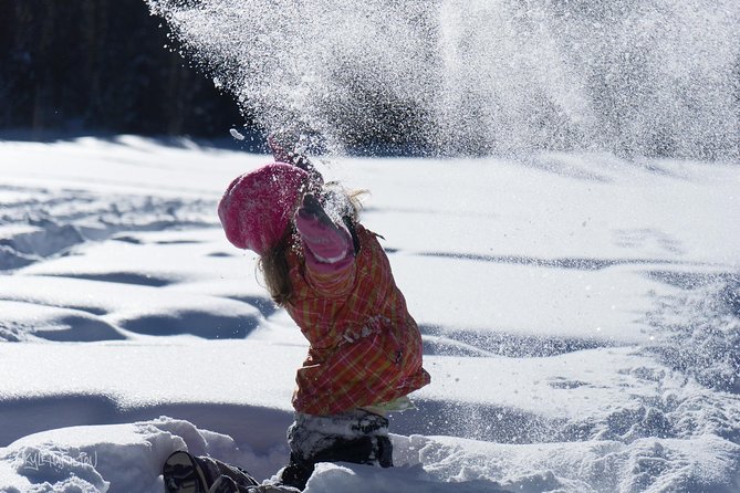 Snowshoeing in Kananaskis - Key Points