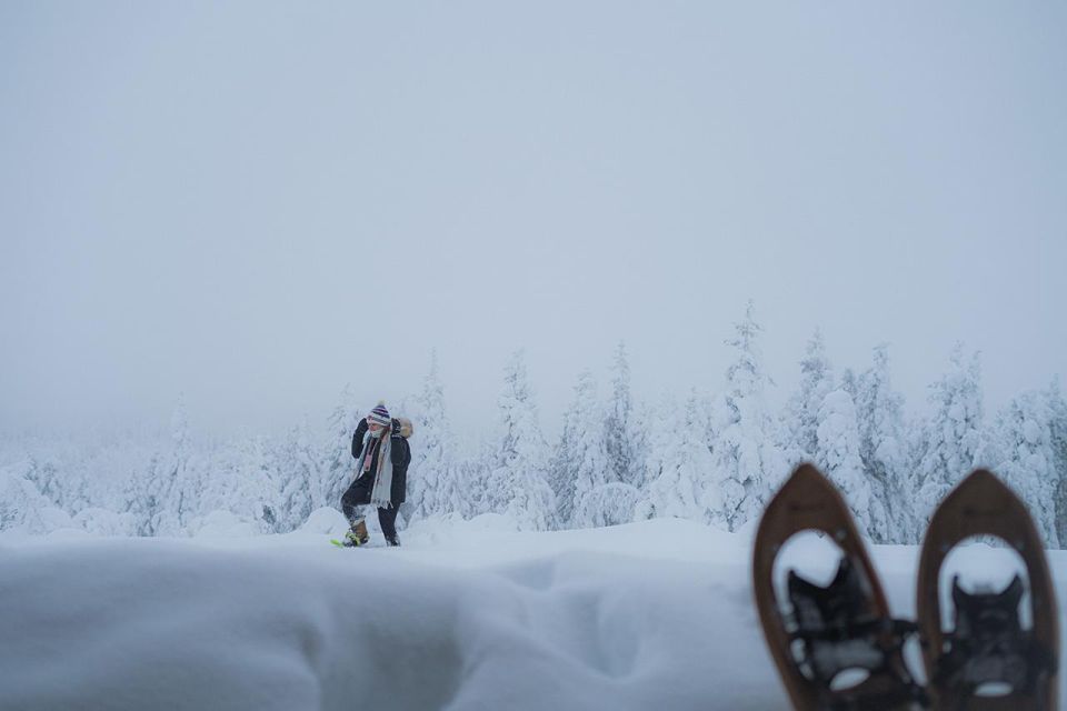 Snowshoeing in the Frozen Forest - Key Points
