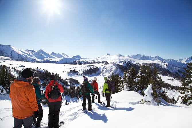 Snowshoeing Tour From Baniff  - Banff - Key Points