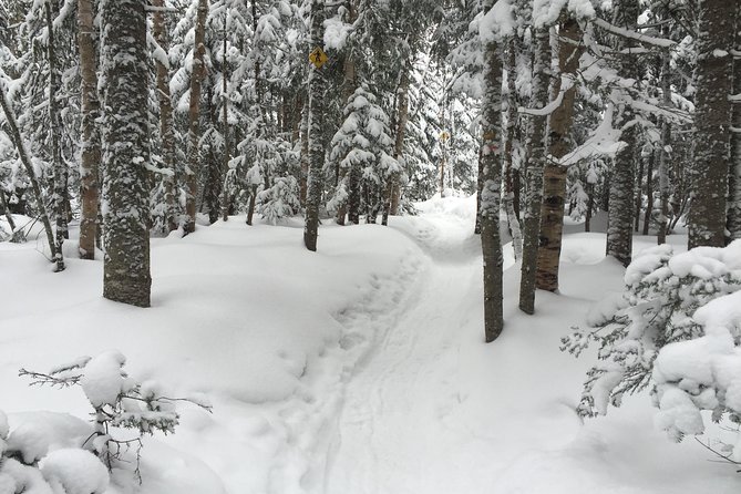 Snowshoeing Tour in Jacques-Cartier National Park - Tour Overview