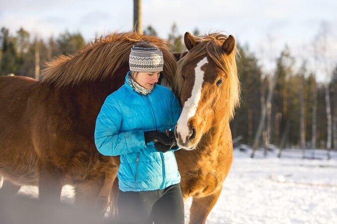 Snowy Nature on Horseback in Apukka Resort, Rovaniemi - Booking Confirmation and Accessibility