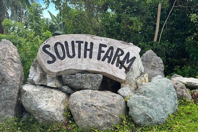 South Farm Tour Panglao in Bohol - Key Points