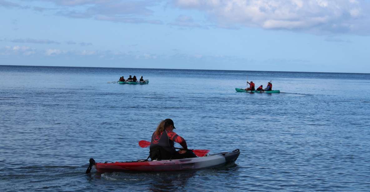 South Maui: Au'au Channel Kayak and Snorkel Adventure - Key Points