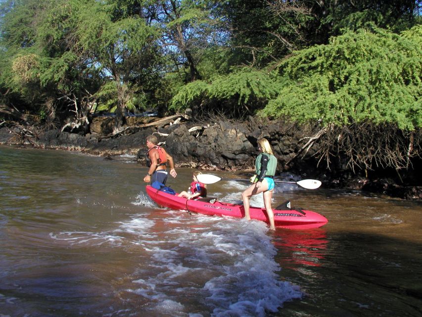 South Maui: Whale Watch Kayaking and Snorkel Tour in Kihei - Key Points