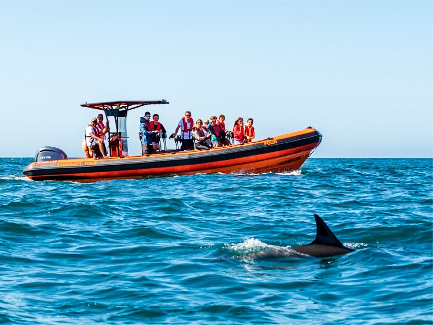 South Route: Dolphin Watching - Key Points
