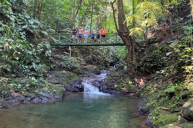 Special Private Waterfalls and Jungle Safari Tour - Tour Highlights