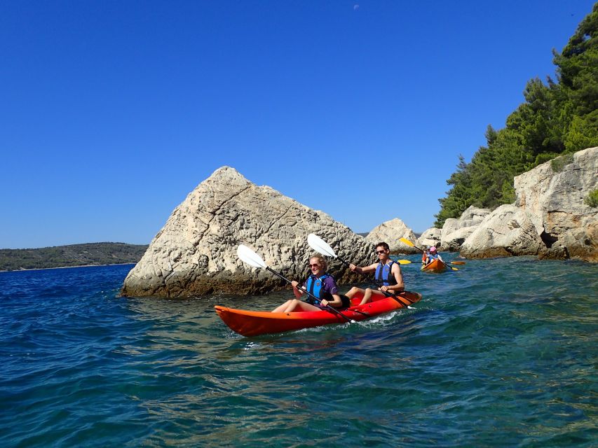 Split 4-Hour Guided Sea Kayak Tour - Key Points