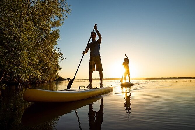 Stand Up Paddle Surf - Key Points