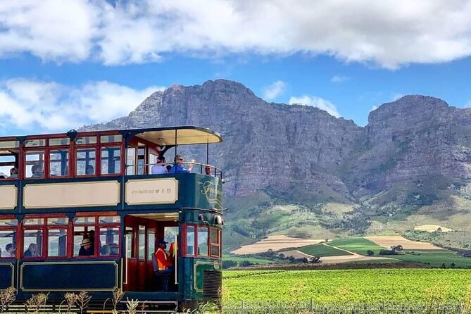 Stellenbosch & Franschhoek Wine Tasting Tour From Cape Town - Key Points