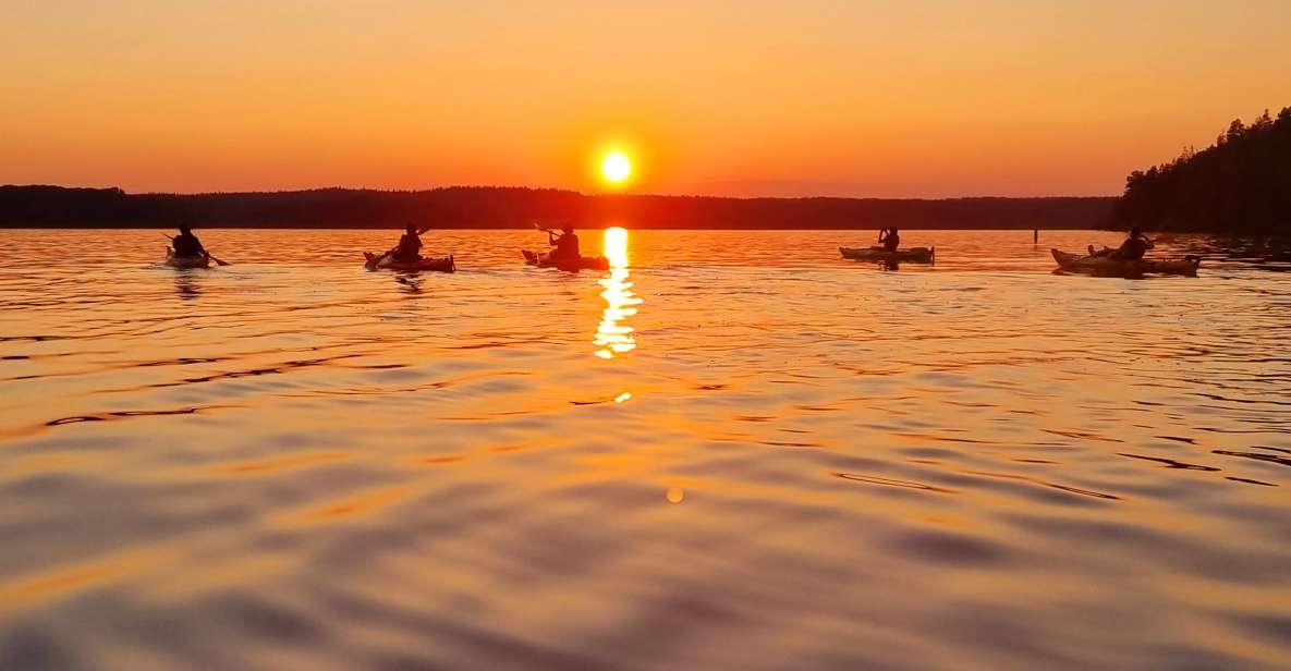 Stockholm: Sunset Kayak Tour on Lake Mälaren With Tea & Cake - Key Points