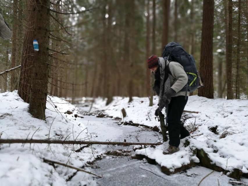 Stockholm: Winter Nature Hike With Campfire Lunch - Key Points