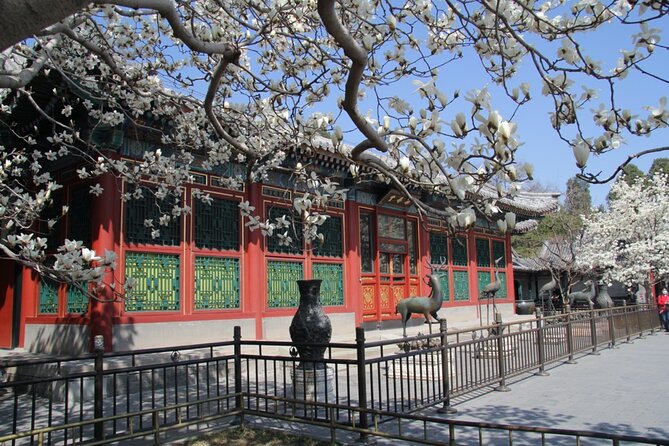 Summer Palace/Heaven Temple Private In-Depth Tour or Tickets Only - Tour Overview