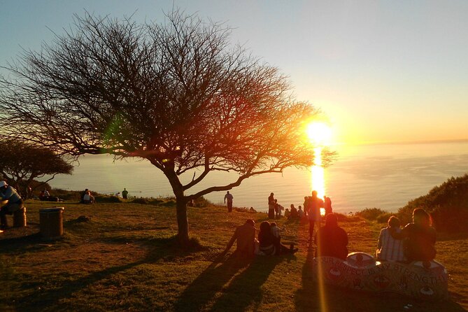 Summer Sunset Bus Tour in Cape Town - Key Points
