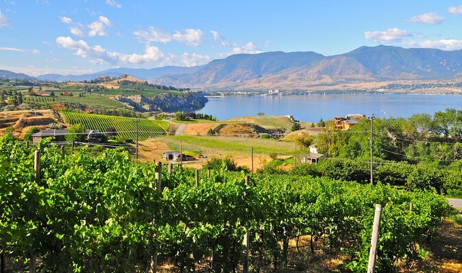 Summerland Wine Tour - Classic - 4 Wineries - Key Points