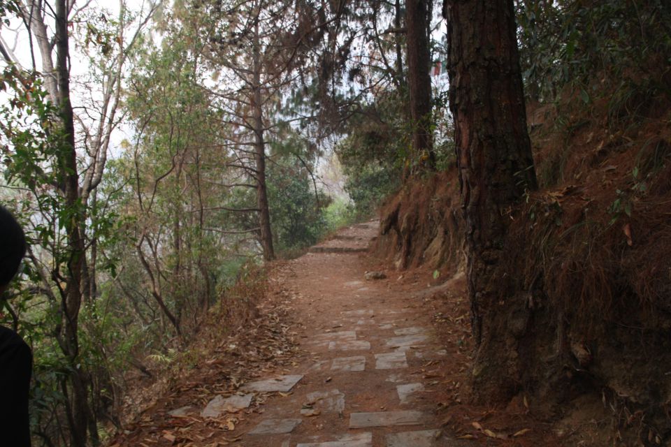 Sundarijal to Chisapani Hike - Key Points