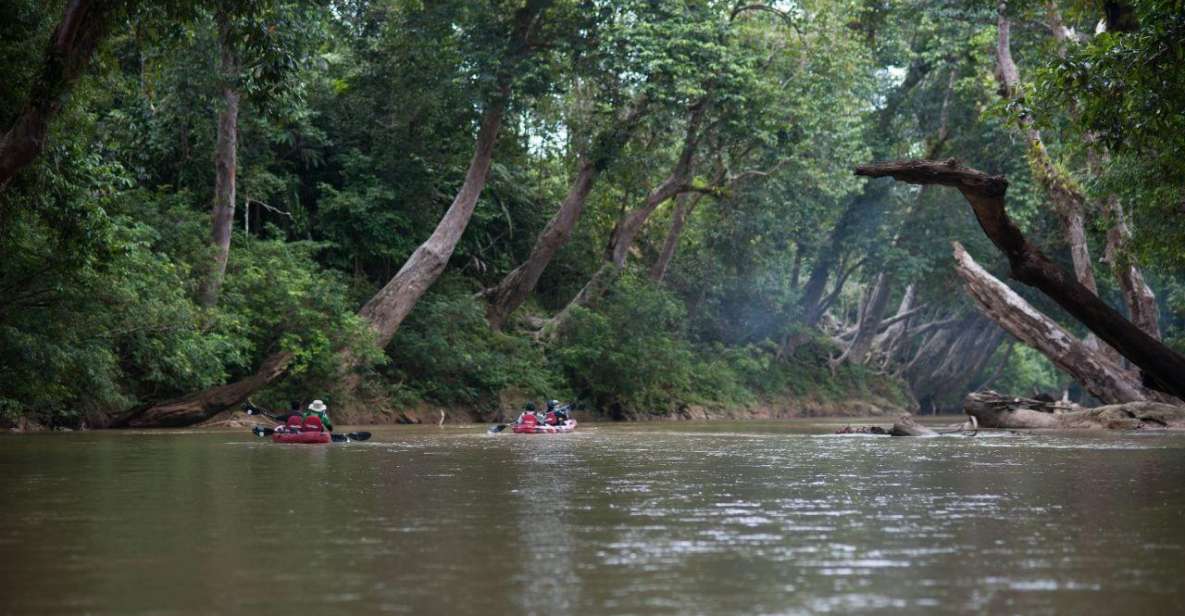 Sungai Berang Wildlife & Cultural Kayak Tour - Key Points