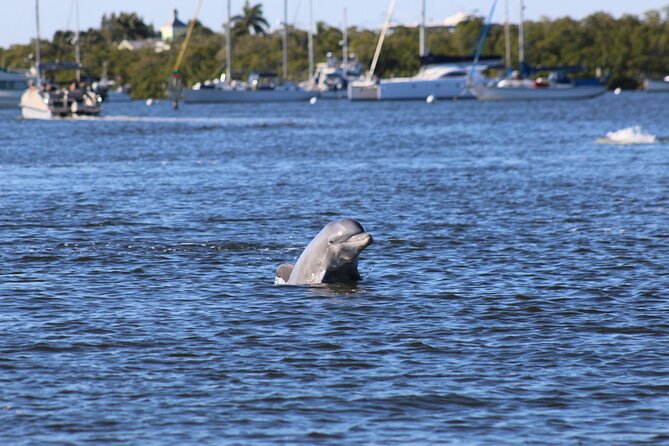 Sunset and Dolphin Tour, Fort Myers Beach and Sanibel Lighthouse - Key Points