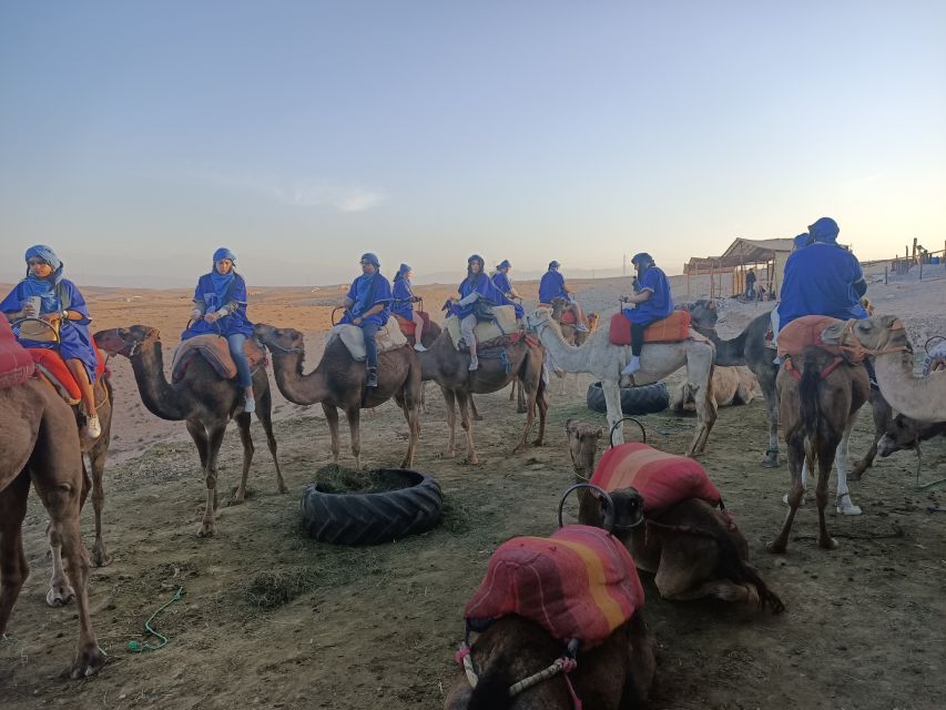 Sunset Camel Ride In Agafay Desert With Dinner - Key Points