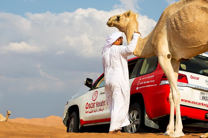 Sunset Camel Trekking Safari With Falcon Show & VIP BBQ Dinner - Key Points