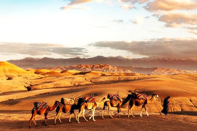 Sunset Dinner in Marrakech Desert With Camel Ride - Key Points