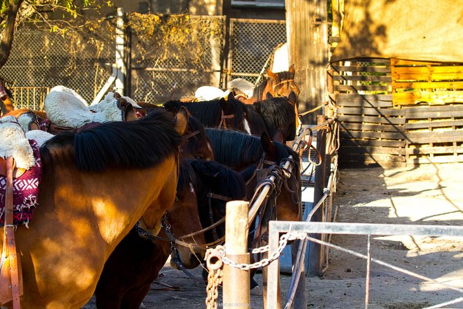 Sunset Horseback Riding - Key Points