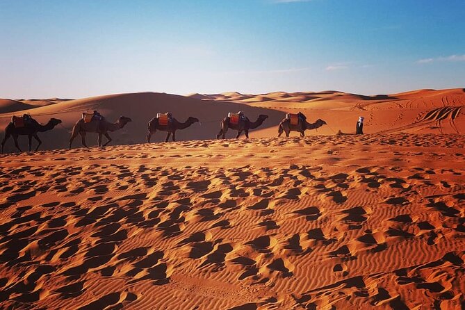 Sunset in Merzouga Sahara Desert & Camel Ride Erg Chebbi Dunes - Key Points