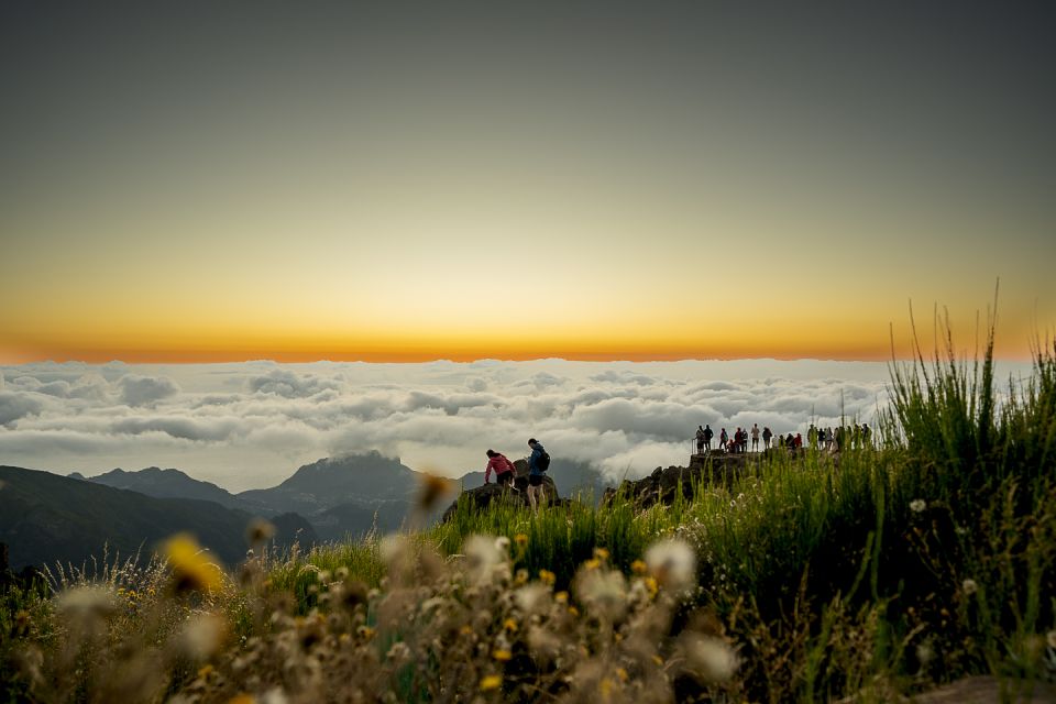 Sunset Madeira Highlights Route With Food and Drinks. - Key Points