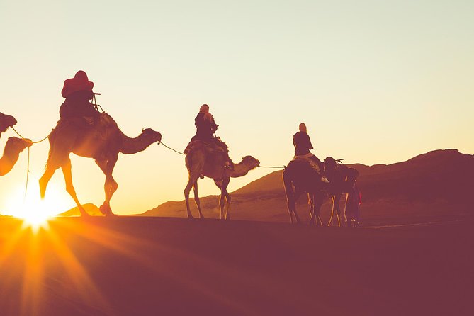 Sunset or Sunrise Camel Ride in the Sahara Desert of Douz - Key Points