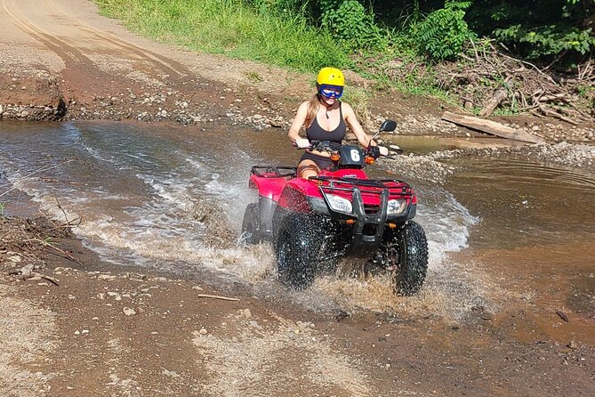 Super ATV Tour 2 Hours on the Beach and Wildlife Forest Trails - Key Points