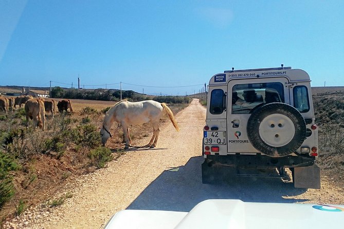 Super Day- Jeep Tour Arade River Cruise - Key Points